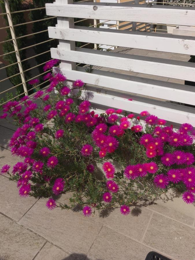 Antonella Gardalake 2 Desenzano del Garda Zewnętrze zdjęcie